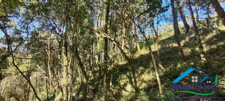 Imagem Terreno Rural na Serra da Mantiqueira | Sertão do Cantagalo