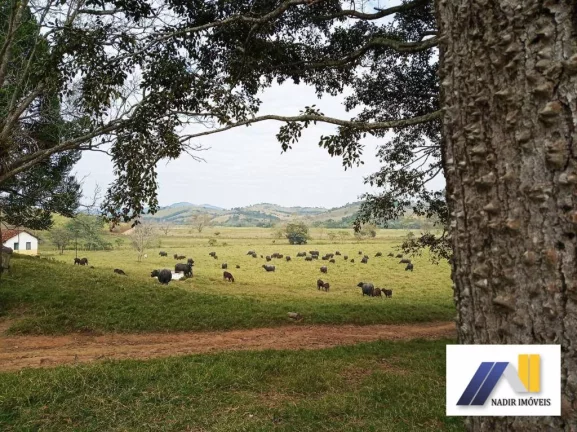 Imagem Fazenda à Venda, 968.000 m² em área Rural - Brasópolis