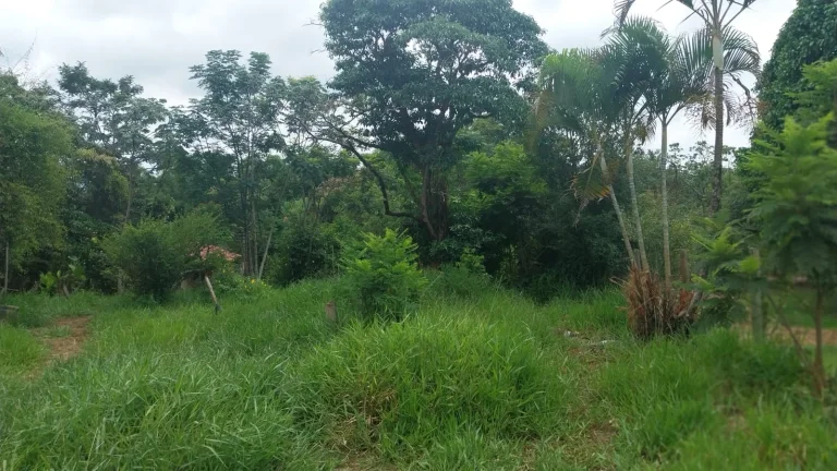 Imagem TERRENO SUPER BARATO COM ESCRITURA NO BOM JARDIM - GUARATINGUETÁ
