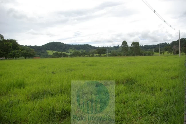 Imagem Fazenda 59 alqueires para soja, milho, gado em Cássia dos Coqueiros - SP . Temos autorização para venda.