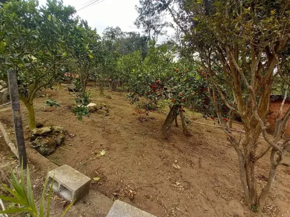Imagem LINDA CASA COM 7.000M2, NASCENTE. NOVA FRIBURGO.