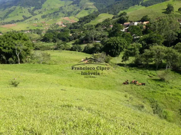 Imagem Sítio à venda no bairro Biguá - Delfim Moreira/MG