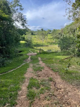 Fazenda à Venda – 117,3 Hectares em Luziânia-GO