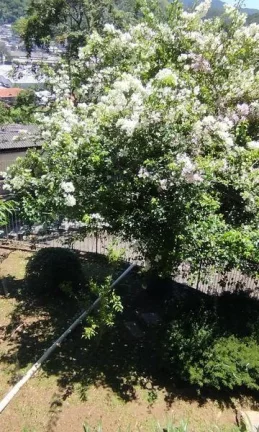 Imagem Casa para Venda em Nova Friburgo, Jardim Marajói, 4 dormitórios, 3 suítes, 5 banheiros,