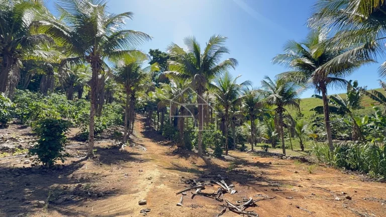 Imagem Sítio com Casa à venda, 100.614,00 m², Timbuí - Fundão/ES