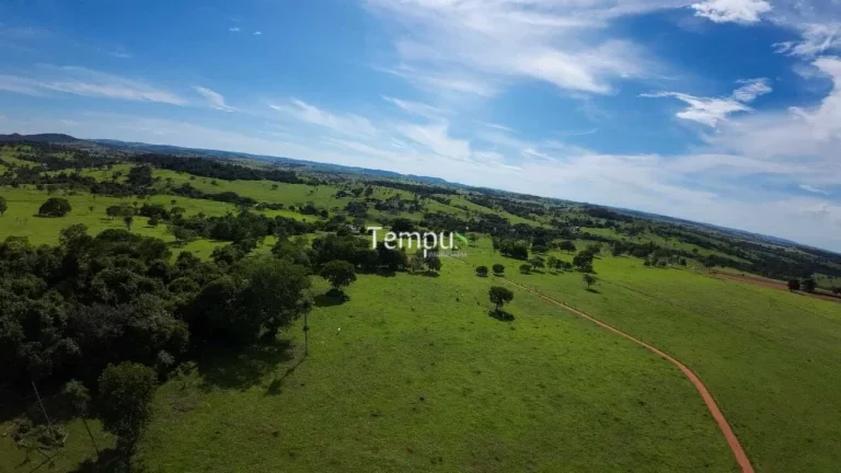 Imagem Fazenda 3 alqueires em Anicuns - Excelente para plantio