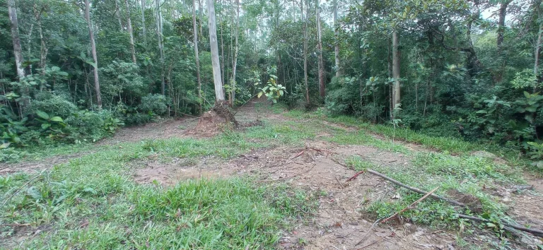 Imagem Área rural à venda em Santa Rosa de Lima/SC