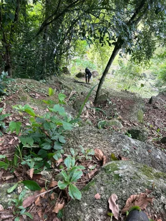 Imagem Terreno Espetacular em Paulo Lopes-SC: 3.250,48 m² na Ribeirão, Projeto Aprovado e IPTU em Dia!