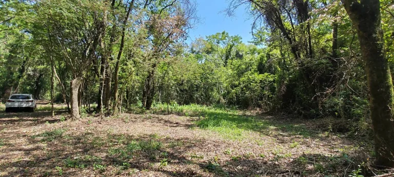 Imagem Chácara a venda em Cascavel, com 2,0992 hectare cada uma e matrícula indiviauais.