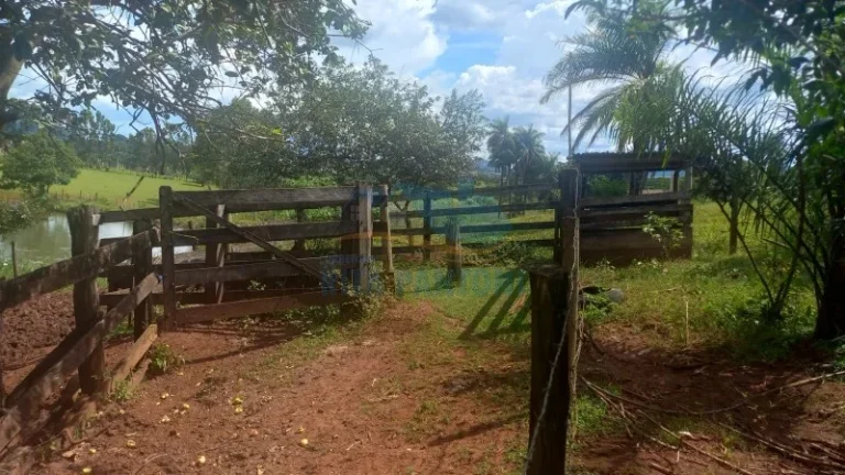 Imagem Rancho - Santo Antônio da Alegria - Poção