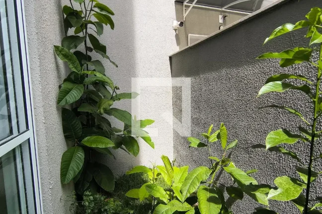 Imagem Apartamento à Venda - Vargem Grande, 2 Quartos, 52 m2