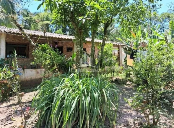Imagem Chácara 1.600m², Escritura, 3 Quartos, sendo 2 Suítes, Vários pé frutas, no Rio Grande da Serra-SP