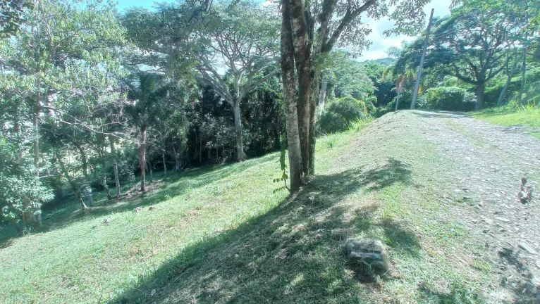 Imagem Terreno à venda com 45.000m2, viabilidade para condomínio fechado - Córrego Grande, Florianópolis, SC