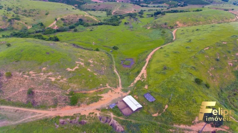 FAZENDA NO MUNICÍPIO DE LINHARES A 45 KM DE COLATINA.