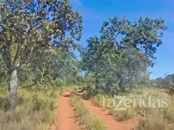 Imagem Fazenda à Venda, 17.000 m² em Zona Rural - Alto Parnaíba
