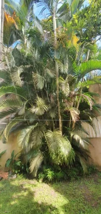 Imagem Casa para Venda em Itanhaém, Jardim São Fernando, 2 dormitórios, 1 banheiro, 8 vagas