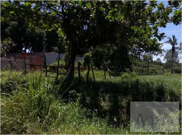 Imagem Terreno para Venda em Itanhaém, Jardim das Palmeiras