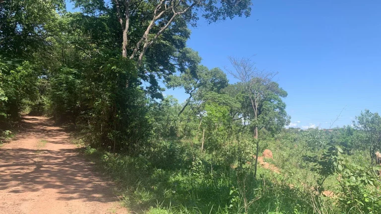 Imagem ÁREA DE 2 HECTARES , EM JUATUBA! IDEAL PARA CONSTRUTORES.