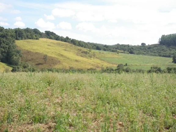 Imagem SÍTIO À VENDA 43,56 HECTARES R$ 1.900.000 - ZONA RURAL - JACUI/MG