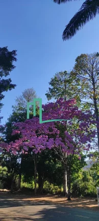 Imagem TERRENO COMERCIAL em PEDREGULHO - SP, VILA PRIMAVERA