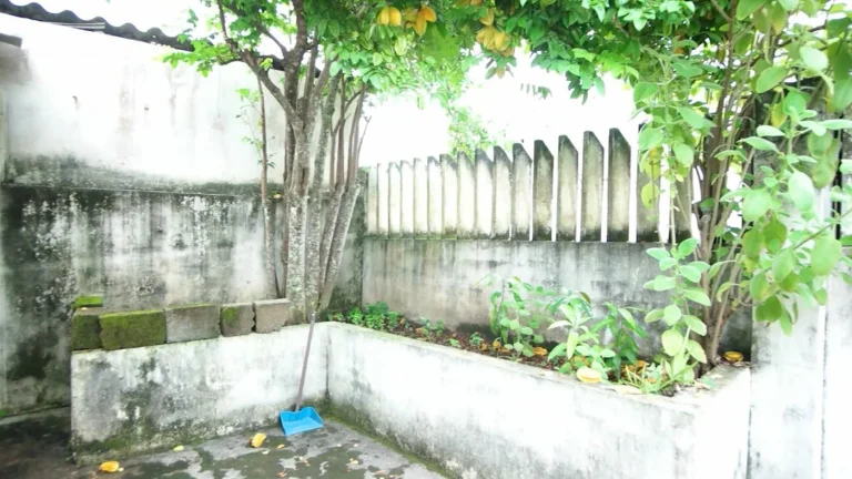 Imagem Casa para Venda em Itanhaém, Praia do Sonho, 4 dormitórios, 1 suíte, 3 banheiros, 4 vagas
