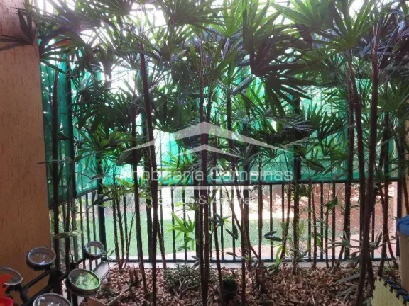 Imagem Casa a venda no Parque Taquaral. More perto de tudo e com muito ar puro, próximo a um dos cartões ...