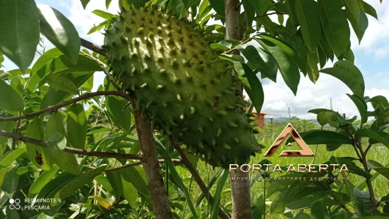 Imagem Chácara no Condomínio Lagoa das Garças - cod 1261