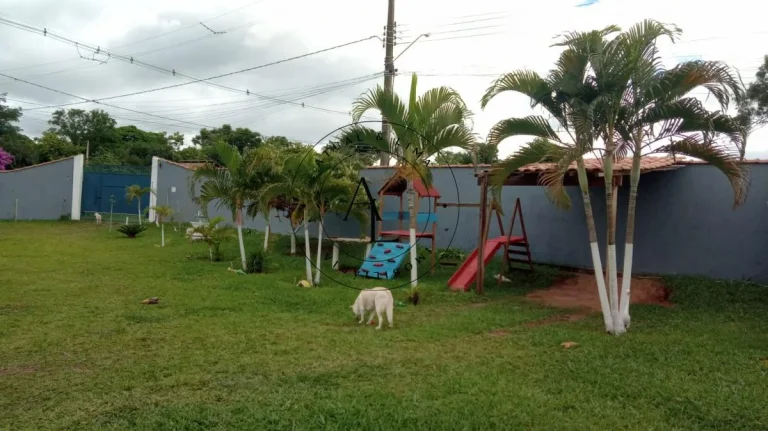 Imagem Encanto e Tranquilidade: Chácara Exclusiva à Venda em Sumaré!