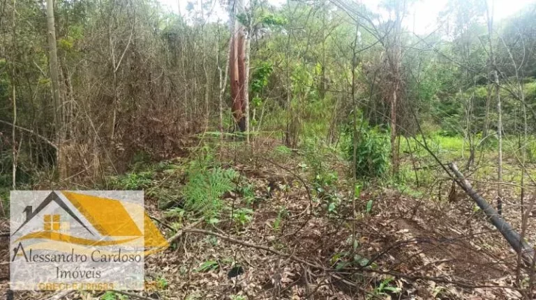 Imagem Vendo terreno rural com 18 mil mts² em Campo do Coelho