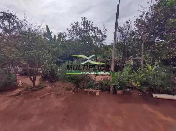 Imagem Chácara 12 km de Uberlândia à venda com Casa, Córrego, Curral, Energia