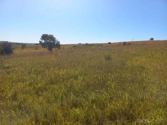 Imagem Fazenda à Venda, 10.000.000 m² em Zona Rural - Camapuã