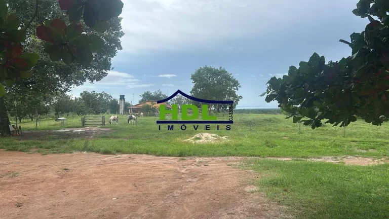 Imagem Fazenda 226 Alqs Dupla aptidão Natividade/TO