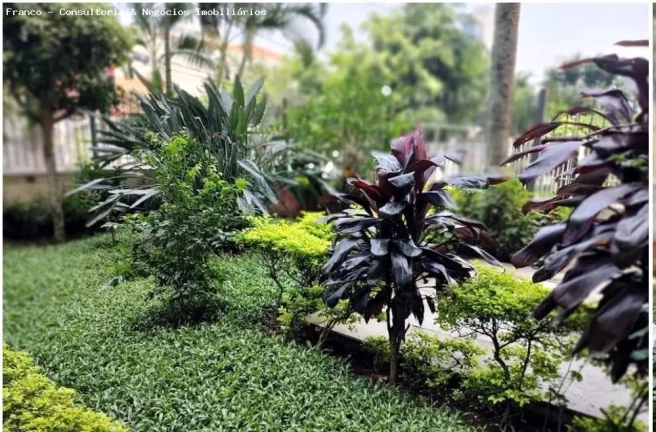 Imagem Apartamento para Venda em São Paulo, Cambuci, 1 dormitório, 1 banheiro