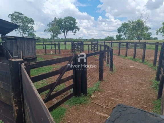 Imagem Fazenda a venda com 890 hectares Dupla aptidão na Região de Nossa senhora do Livramento Livramento MT