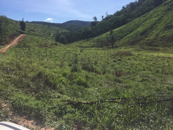 Imagem FAZENDA RURAL em COLATINA - ES, ÁREA RURAL DE COLATINA