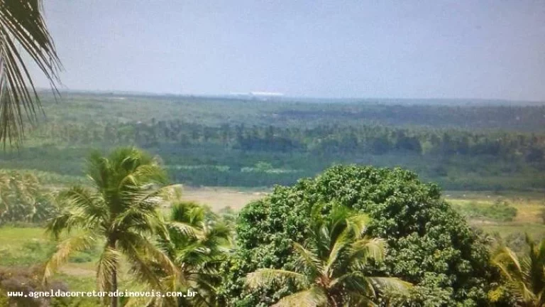 Imagem Fazenda para Venda em Extremoz, capim -extremoz, 3 dormitórios, 1 suíte, 2 banheiros, 6 vagas