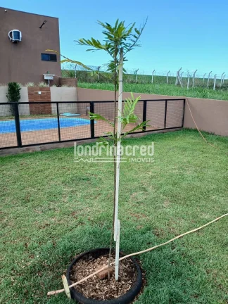 Imagem Chácara à Venda no Condomínio Farol de Paranapanema II – Alvorada do Sul | Porteira Fechada, Mobiliada, Piscina e Grama Esmeralda em Todo o Terreno!