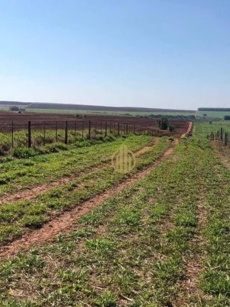 Imagem Fazenda à venda, 49464800 m² por R$ 511.000.000,00 - Centro - Pompéia/SP