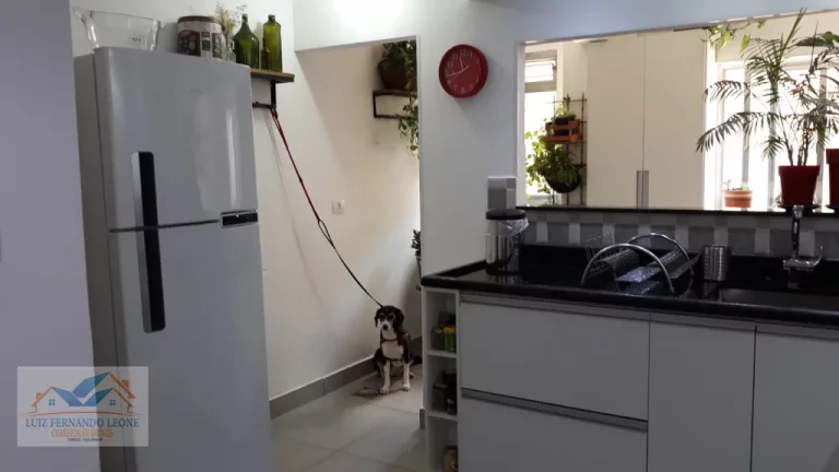 Imagem Apartamento à Venda no Cambuci: 2 dormitórios e 1 vaga. R$ 670.000