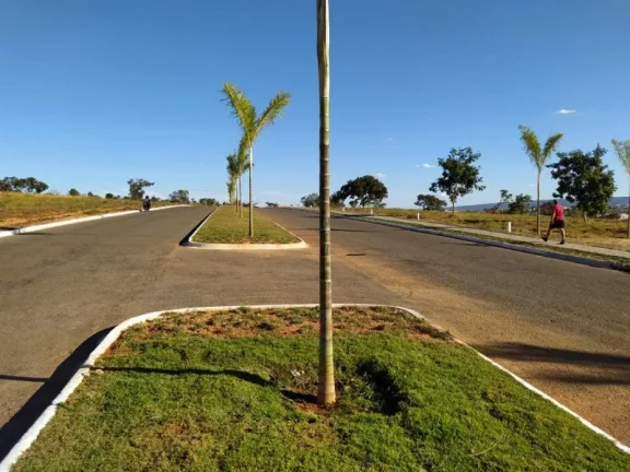 Imagem Lotes Comerciais Parcelados em Avenida Pronta Para o Comércio em Caldas Novas