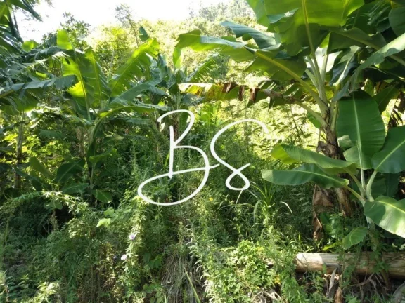 Imagem SITIO RESIDENCIAL em TRÊS COROAS - RS, Linha 28