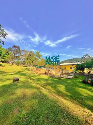 Imagem OPORTUNIDADE - LINDO HARAS A VENDA EM LAGOINHA SP