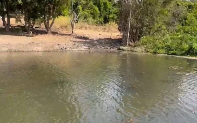 Imagem Um Refúgio dos Sonhos Esperando por Você