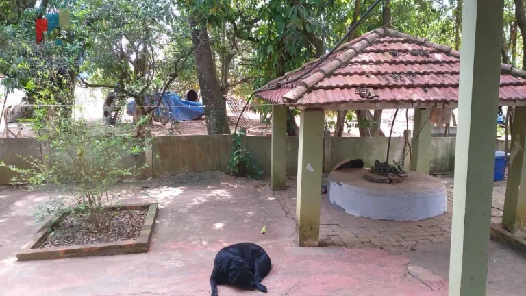 Imagem Chácara a venda Cesario Lange SP