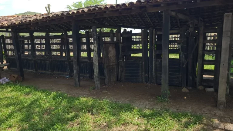 Imagem Excelente Fazenda em Belem Paraíba com 270 hectares