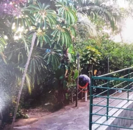 Imagem CHACARA A VENDA NO JARDIM LIMOEIRO SÃO PAULO