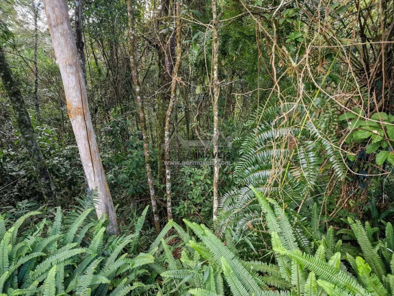 Imagem Terreno à venda em Campos do Jordão – Com vista para linda área verde