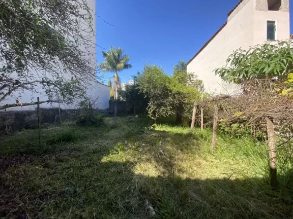 Imagem Oportunidade para Investidores – Terreno com Excelente Potencial no Bairro Monsenhor Mário Quintão!