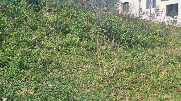 Imagem Terreno, 250m2, Litoral, Governador Celso Ramos/SC