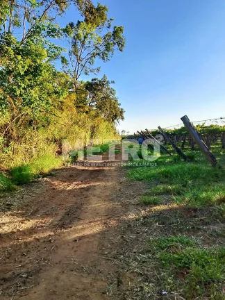 Imagem Fazenda de com 20 hectares produzindo e com Infraestrutura, CASA NOVA - BA